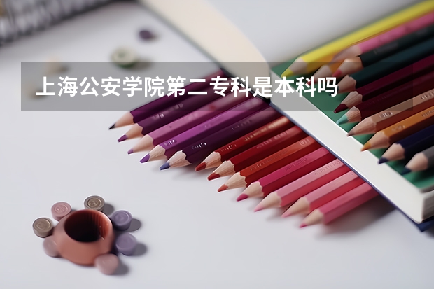上海公安学院第二专科是本科吗
