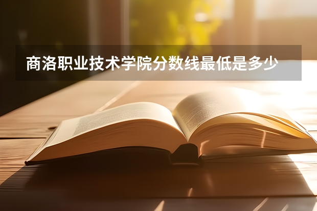 商洛职业技术学院分数线最低是多少