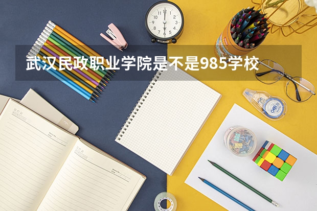 武汉民政职业学院是不是985学校 武汉民政职业学院有哪些王牌的专业